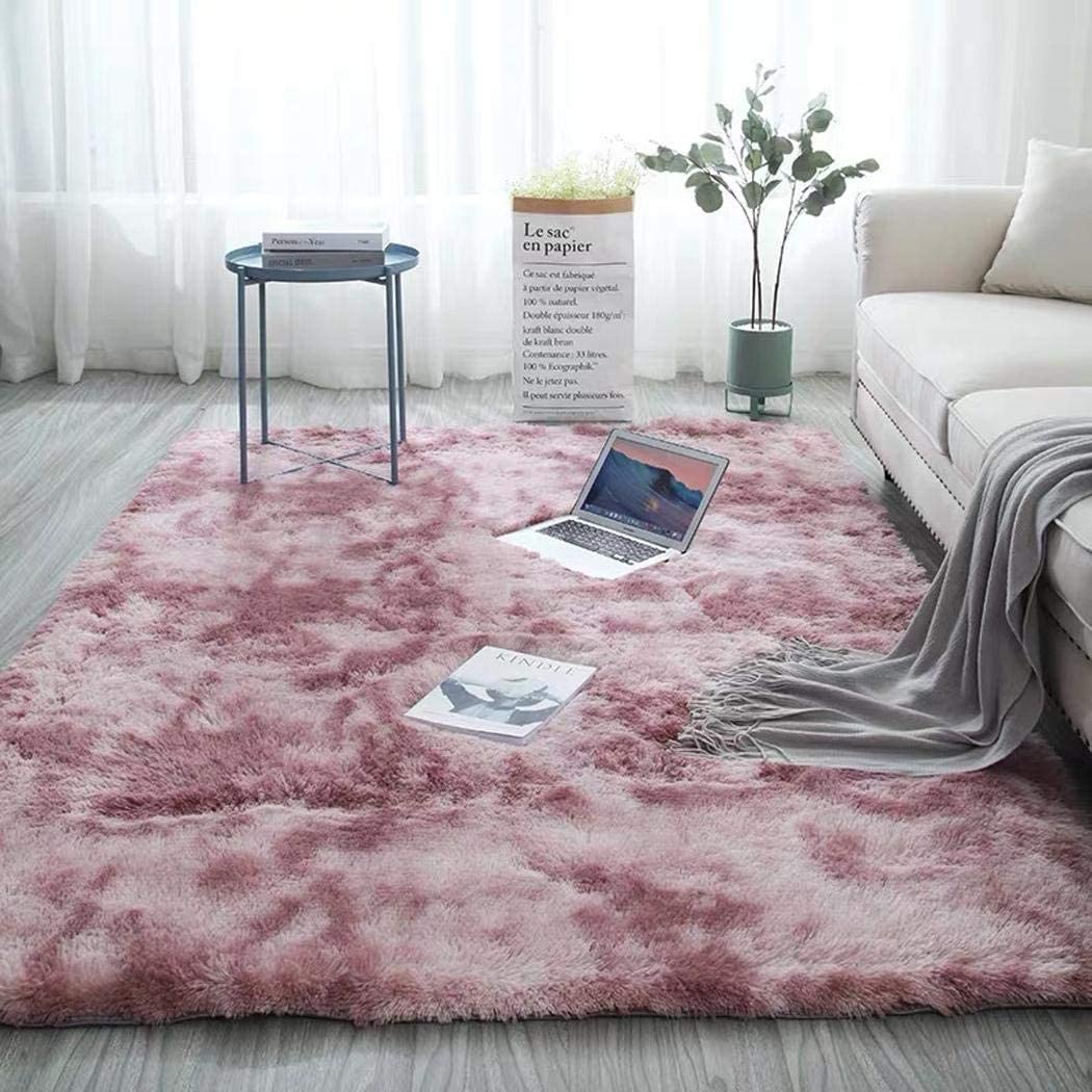 CozyDesg Area Rugs, Soft Fluffy Area Rugs Floor Mat Floor Rugs for Living Room Bedroom Kids Room Nursery Modern Decor Carpet